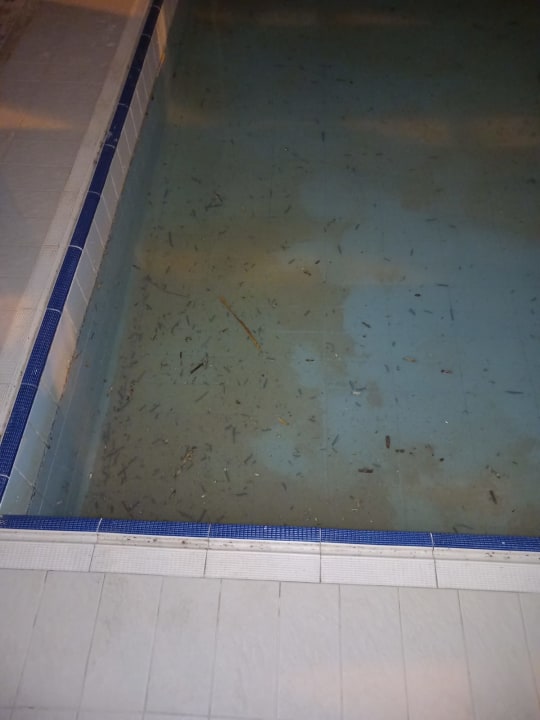 Pool Calimera Yati Beach