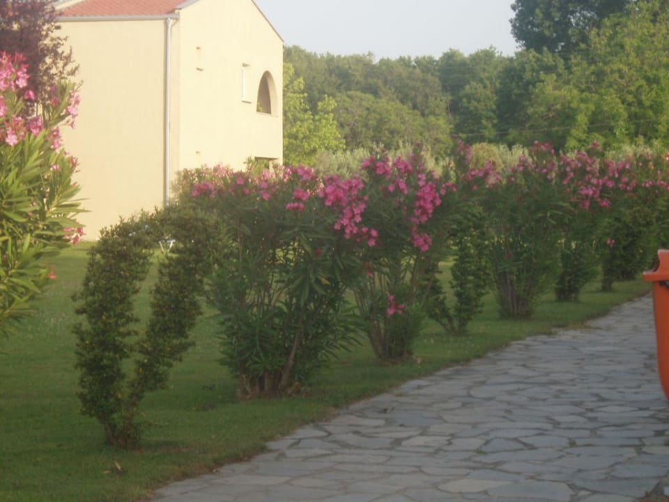 Gartenanlage alltoura Club Hotel Poseidon Palace