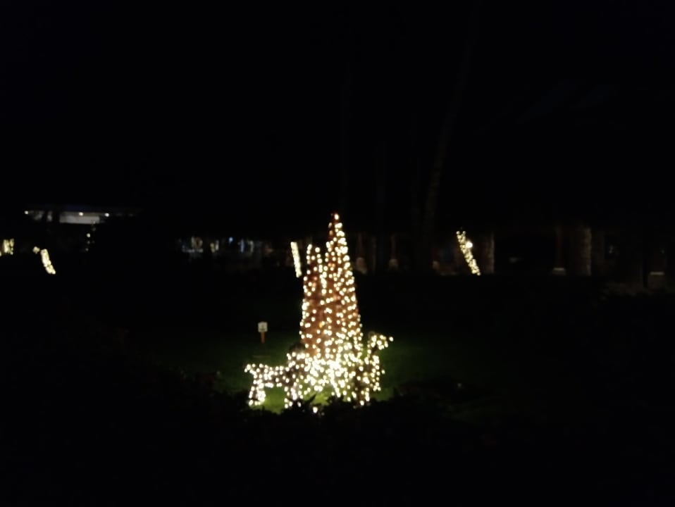 Gartenanlage Hotel Viva Dominicus Palace by Wyndham-All Inclusive Resort