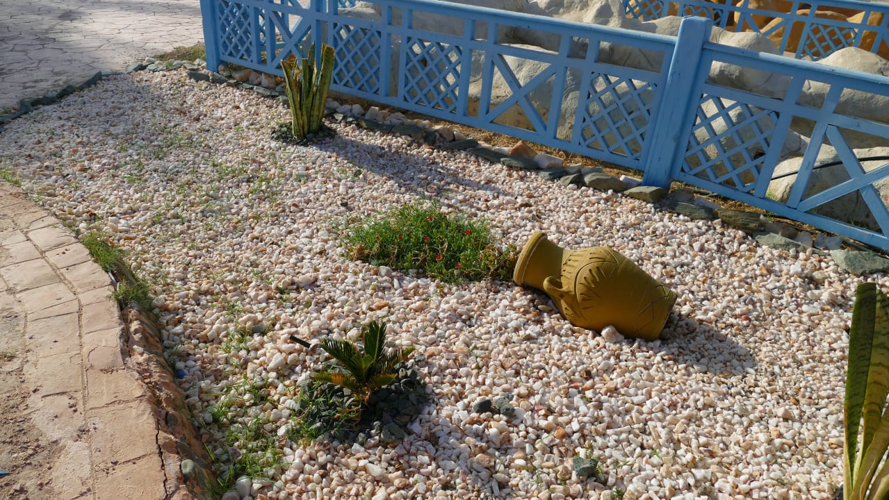 Sonstiges Swisstouch Oriental Resort Marsa Alam