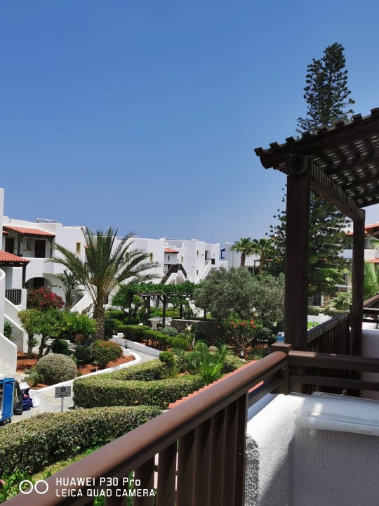 Gartenanlage Alexander Beach Hotel & Village Resort