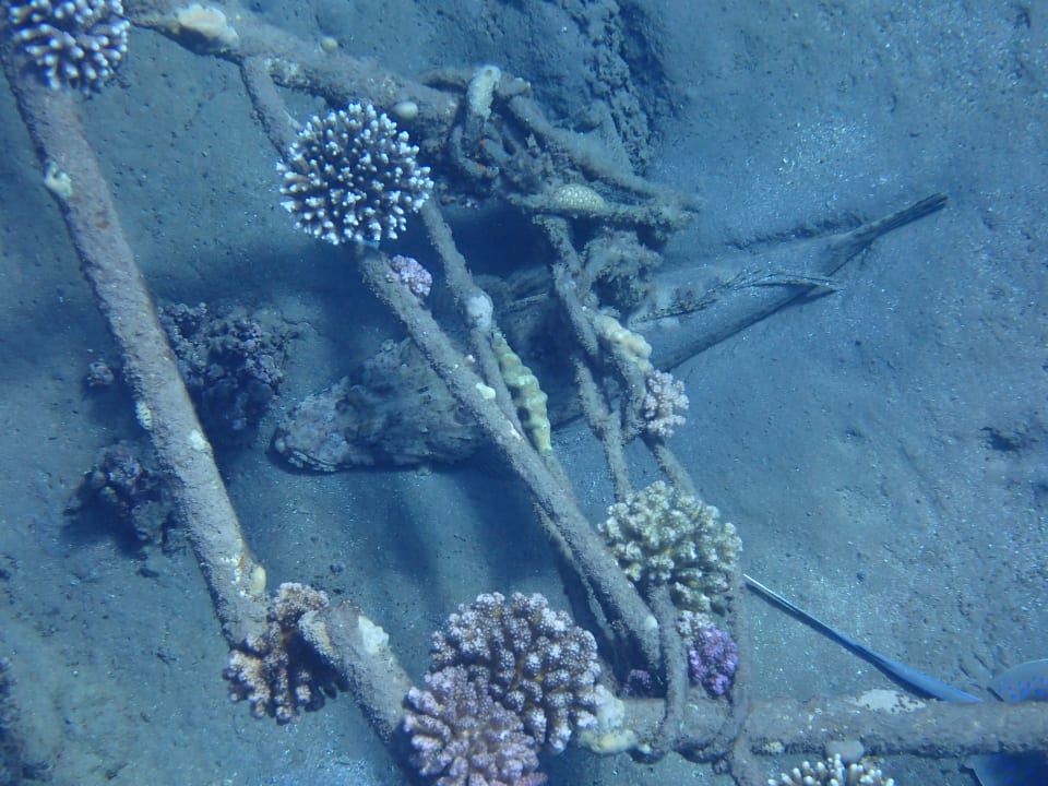 Strand Three Corners Equinox Beach Resort