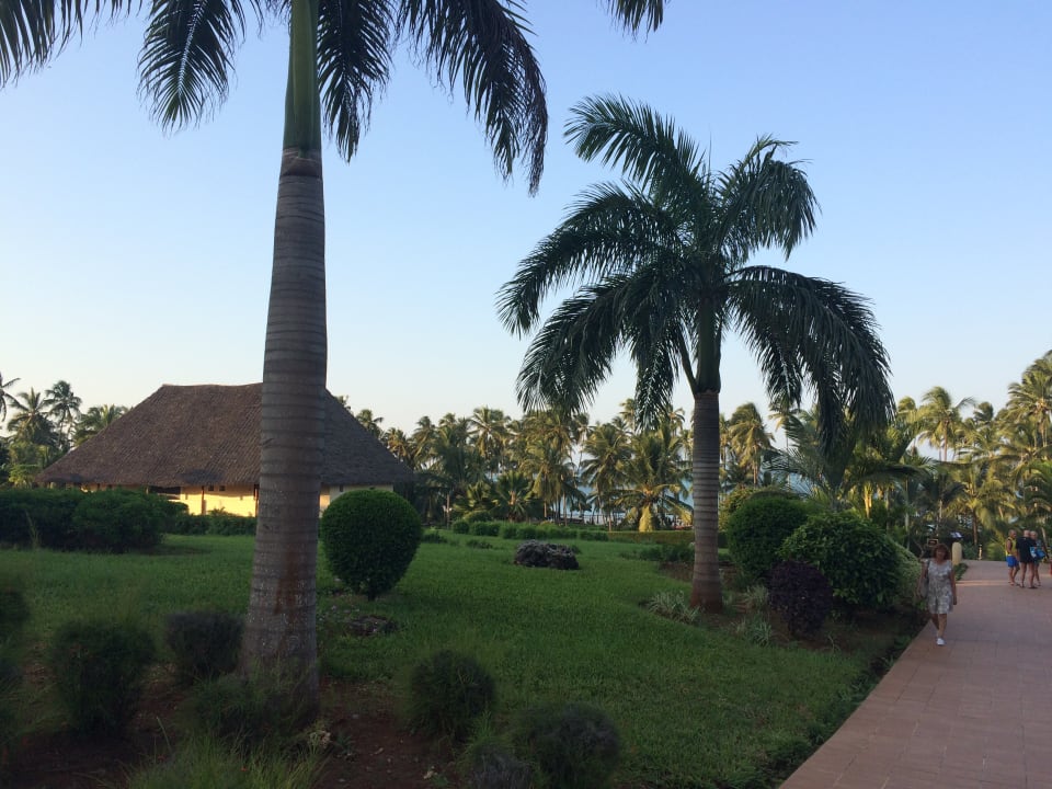 Gartenanlage TUI Blue Bahari Zanzibar