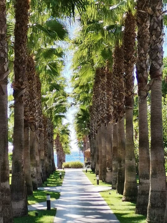 Gartenanlage Hotel Miramare Beach