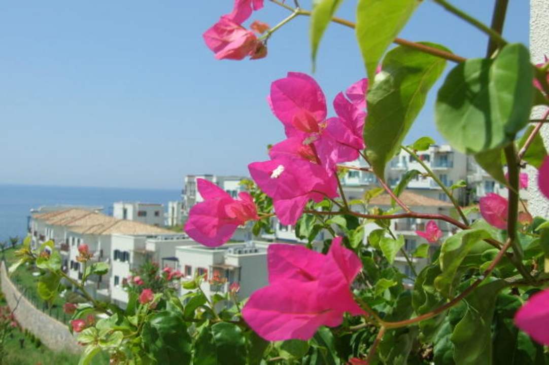 Carpe Diem Onyria Claros Resort & Spa Hotel Aria Claros Beach & Spa Resort