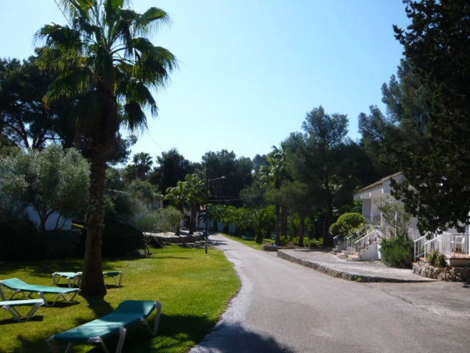 Gartenanlage Iberostar Waves Cala Domingos