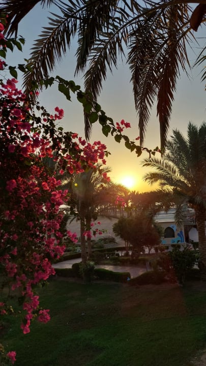 Gartenanlage Dream Lagoon Resort & Aqua Park