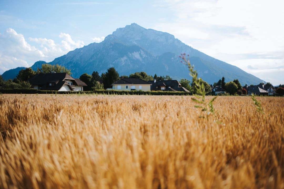 Ausblick Friesachers Aniferhof