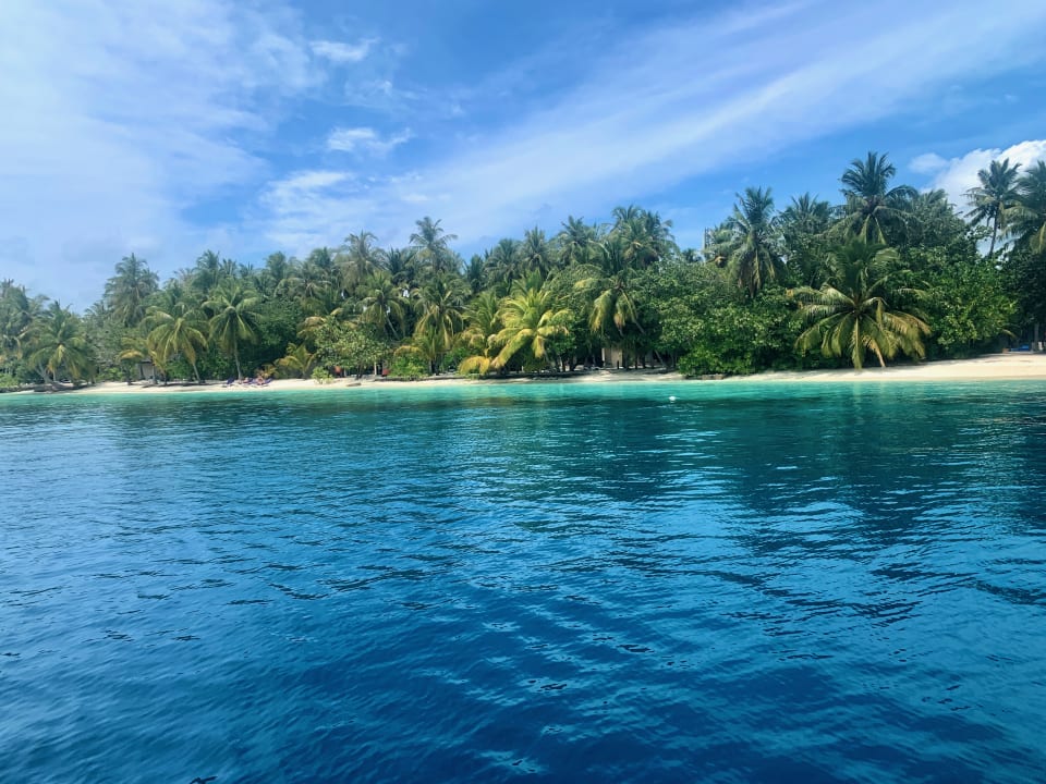 Ausblick Vilamendhoo Island Resort & Spa