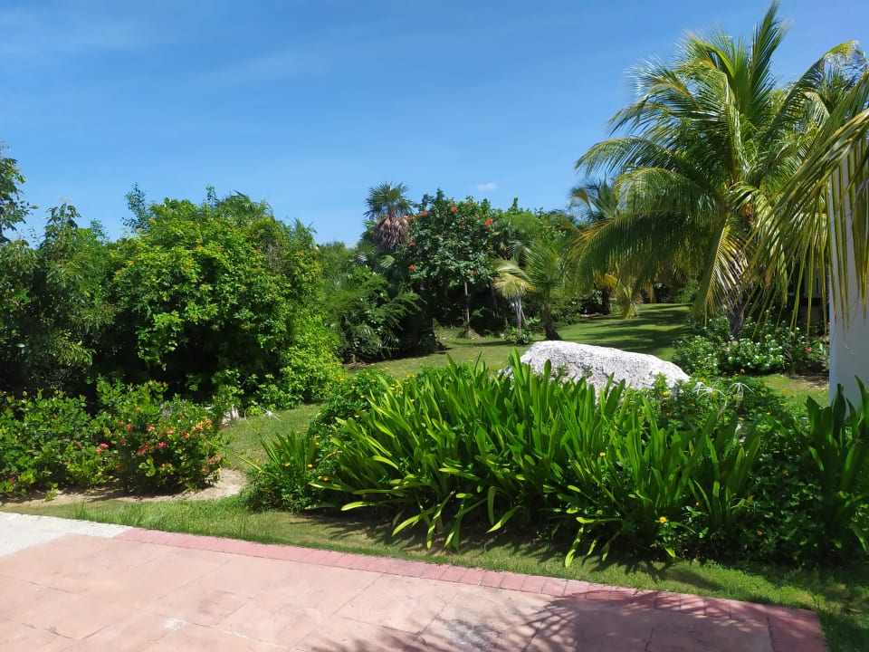 Gartenanlage Playa Cayo Santa Maria