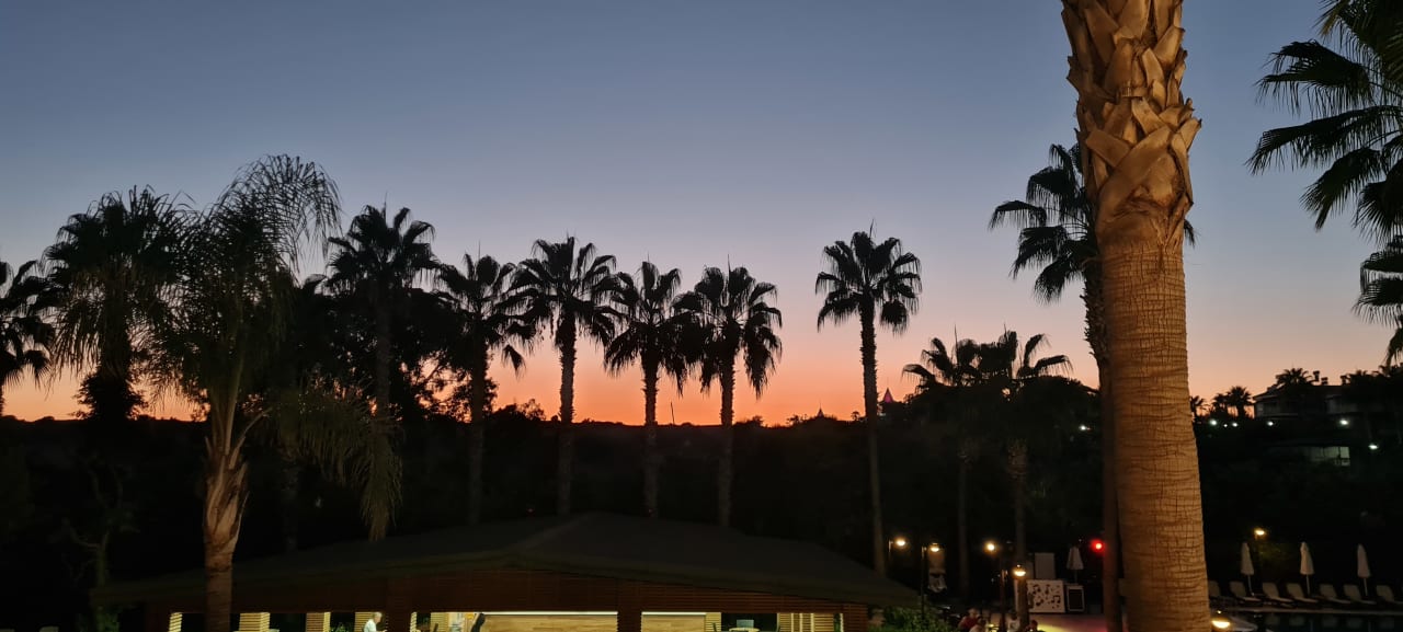 Ausblick Royal Atlantis Beach Hotel