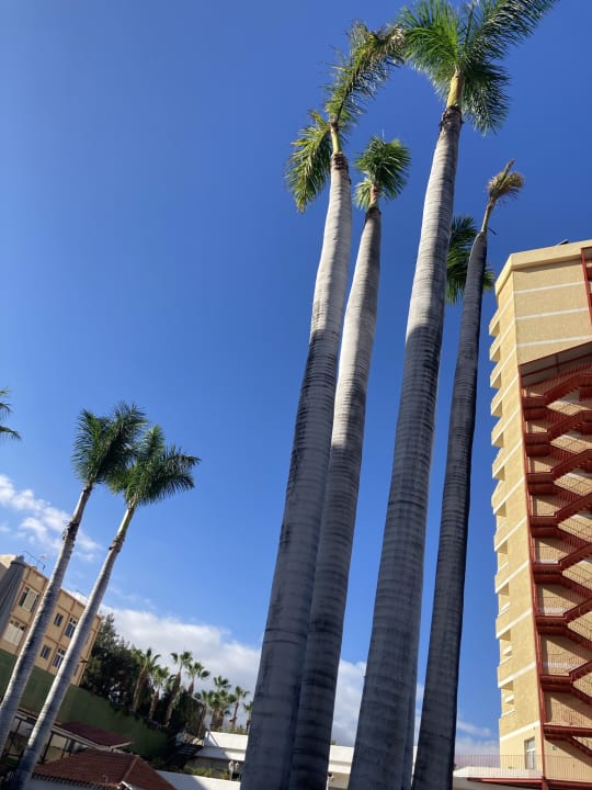 Pool Be Live Tenerife - Adults only