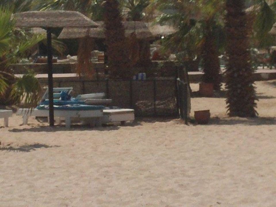 Immer alles Reserviert 22 Stunden lang  Lotus Bay Beach Resort