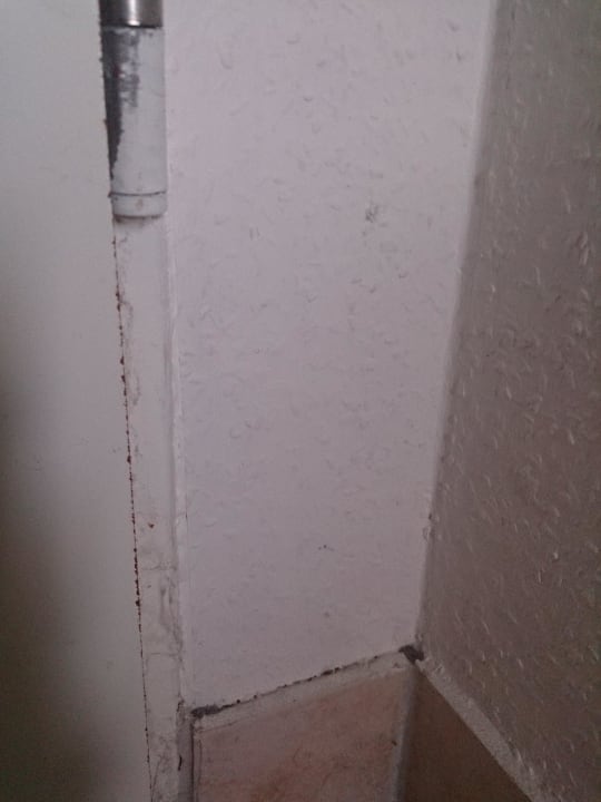 Tür voll Dreck und Spinnenweben Haus Marinus