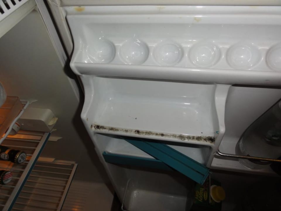 Schimmel im Kühlschrank Hotel Orbtal
