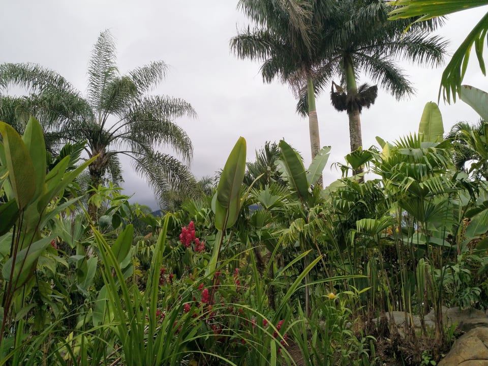Gartenanlage Arenal Paraiso Resort Spa & Thermo Mineral Hot Springs