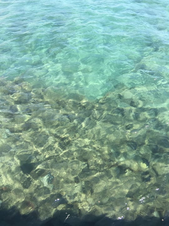 Strand Dizalya Palm Garden