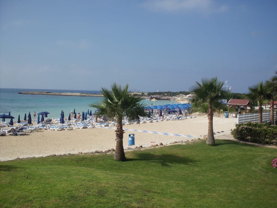 Strand direkt am Hotel Asterias Beach