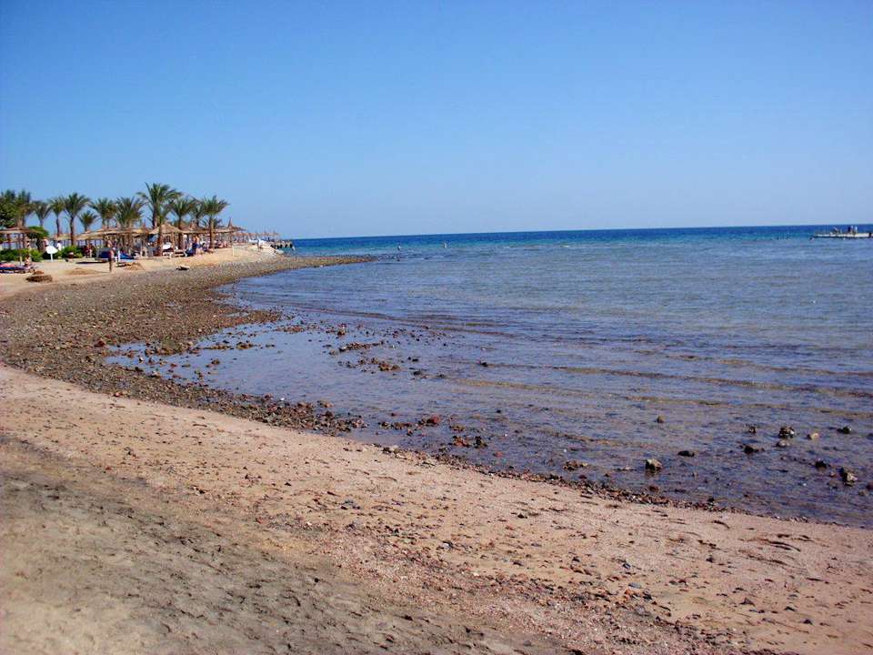 Ebbe  Pickalbatros Palace Resort