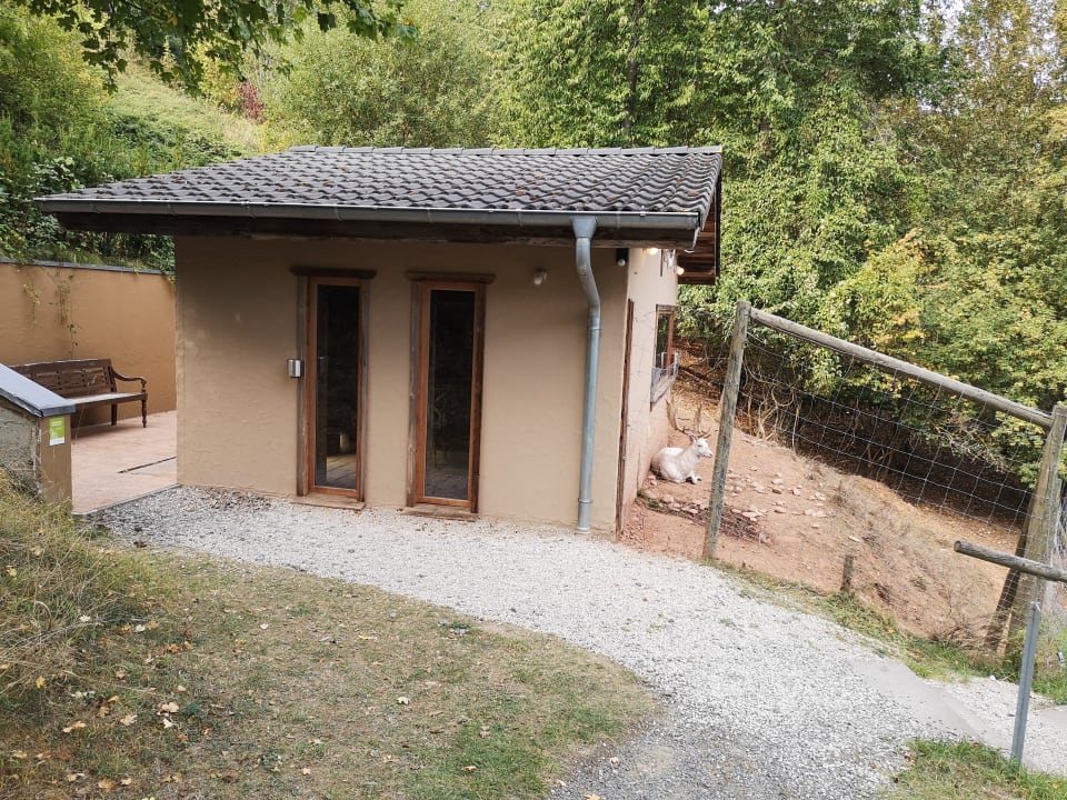 Sport & Freizeit BollAnts Spa im Park