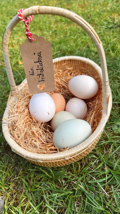 Gastro Ferienwohnung Wolte