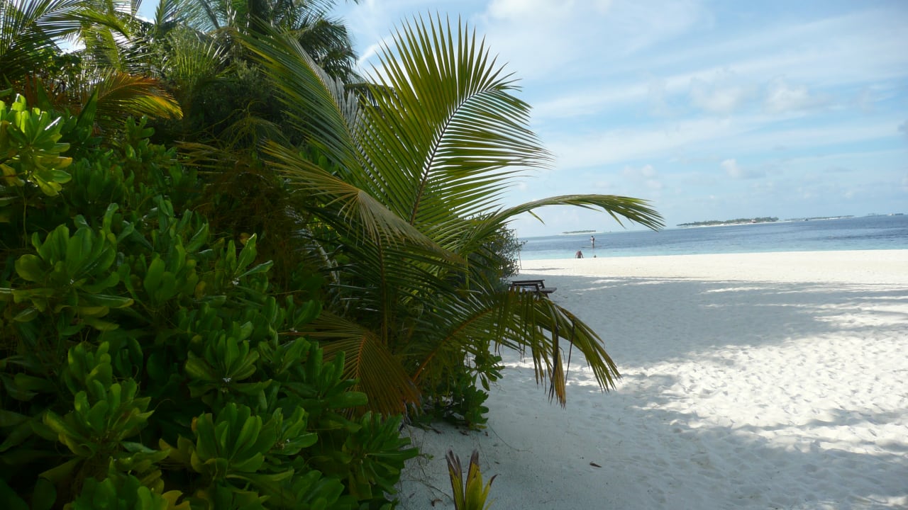 Strand Eri Maldives