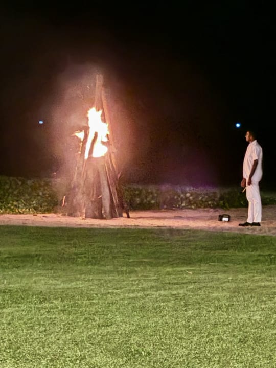 Sport & Freizeit EKHO Surf