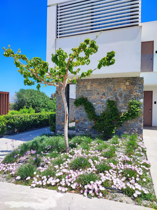 Gartenanlage Gennadi Grand Resort