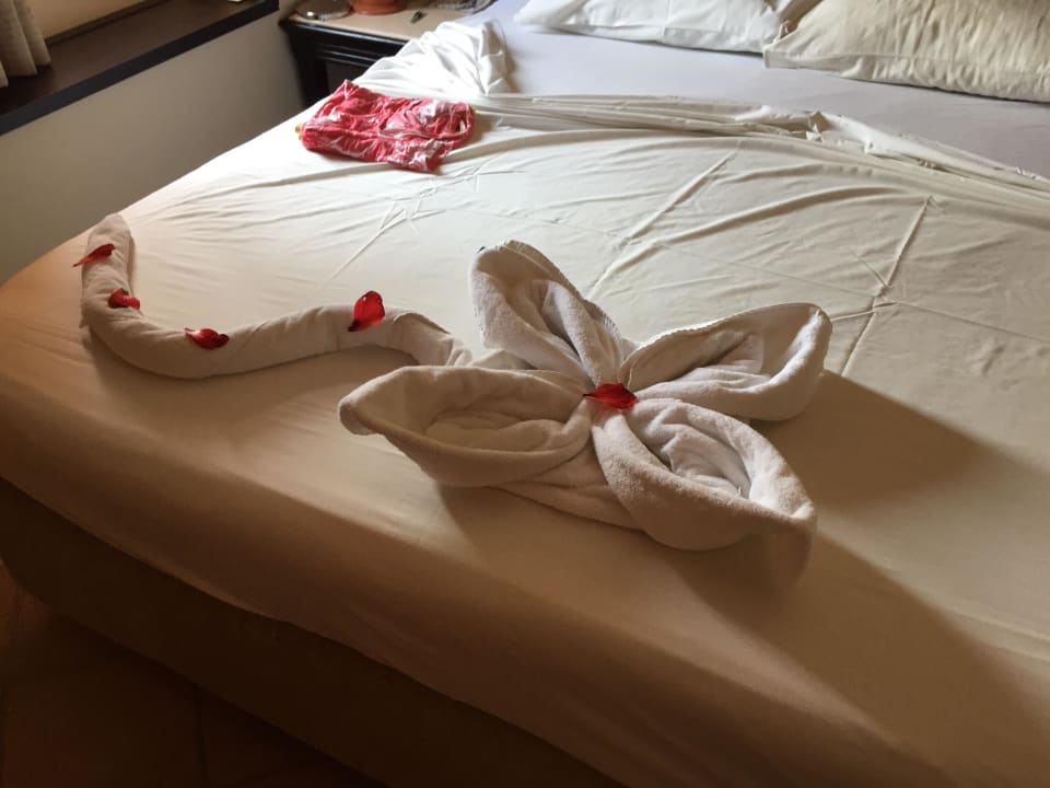 Jeden Tag eine Überraschung Steigenberger Coraya Beach - Adults only