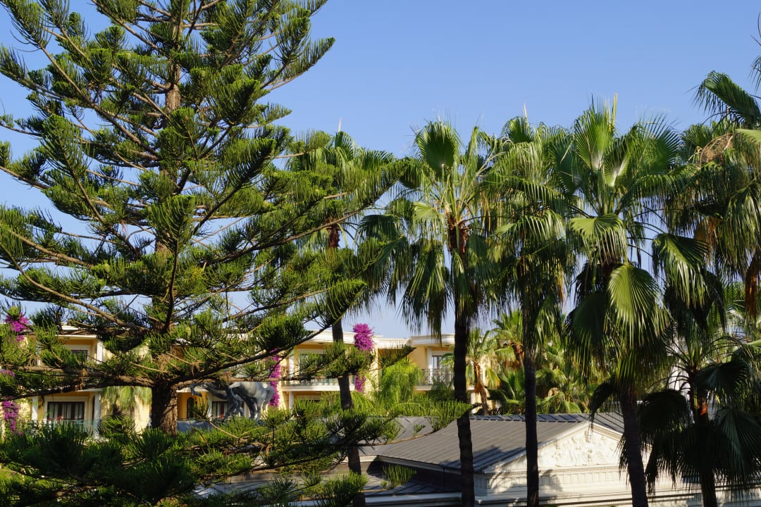 Ausblick Hotel Yetkin