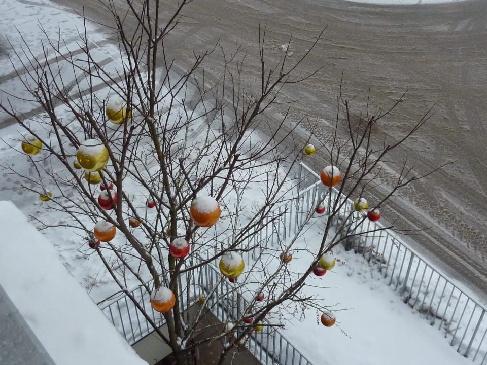 Blick auf dekorierten Baum am Eingang Ritzenhof – Hotel und Spa am See