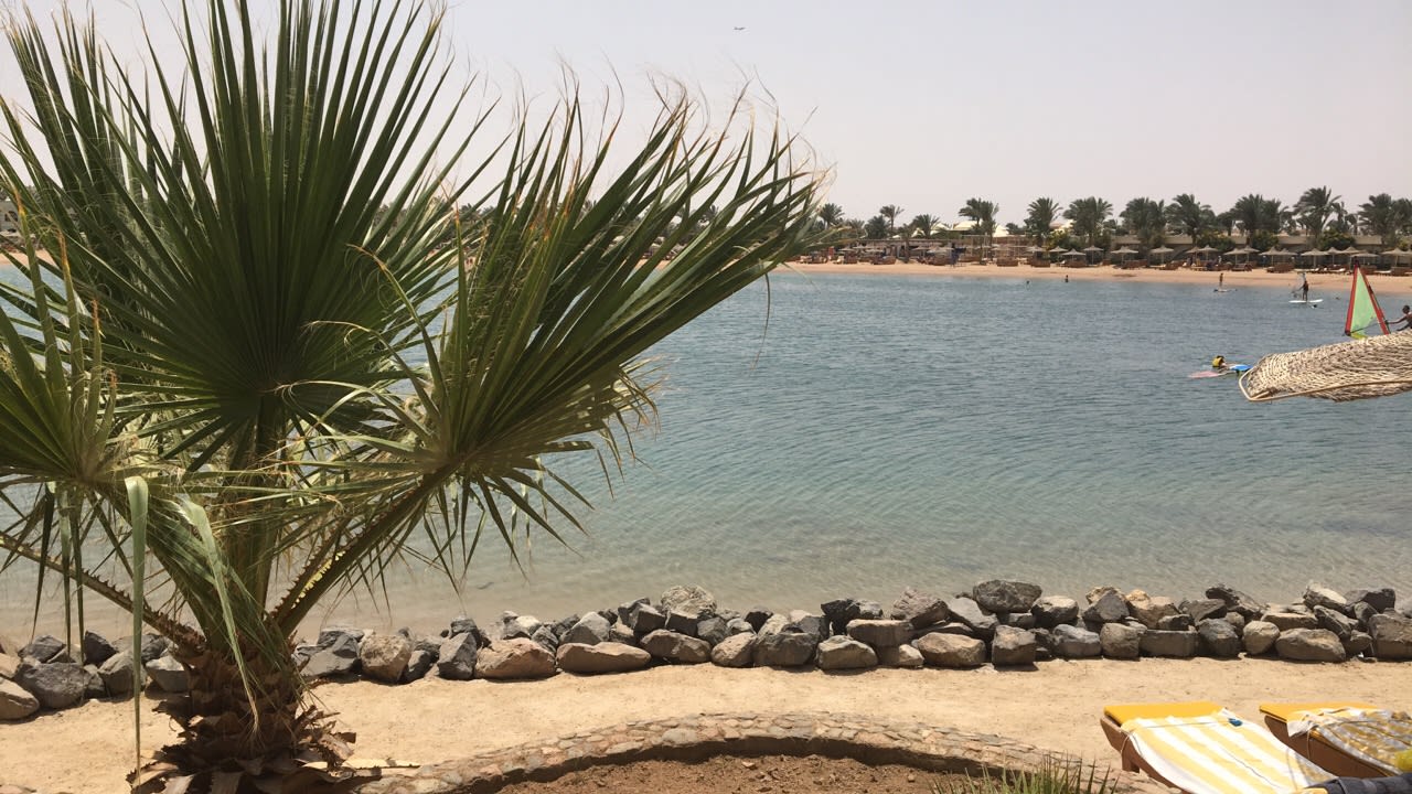 Bar in der Badebucht Desert Rose