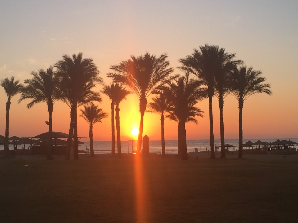 Strand Pickalbatros Palace Hotel-Port Ghalib