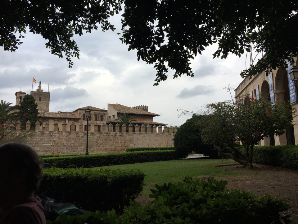 Ausblick Hotel Edén Palma Playa - Adults Only