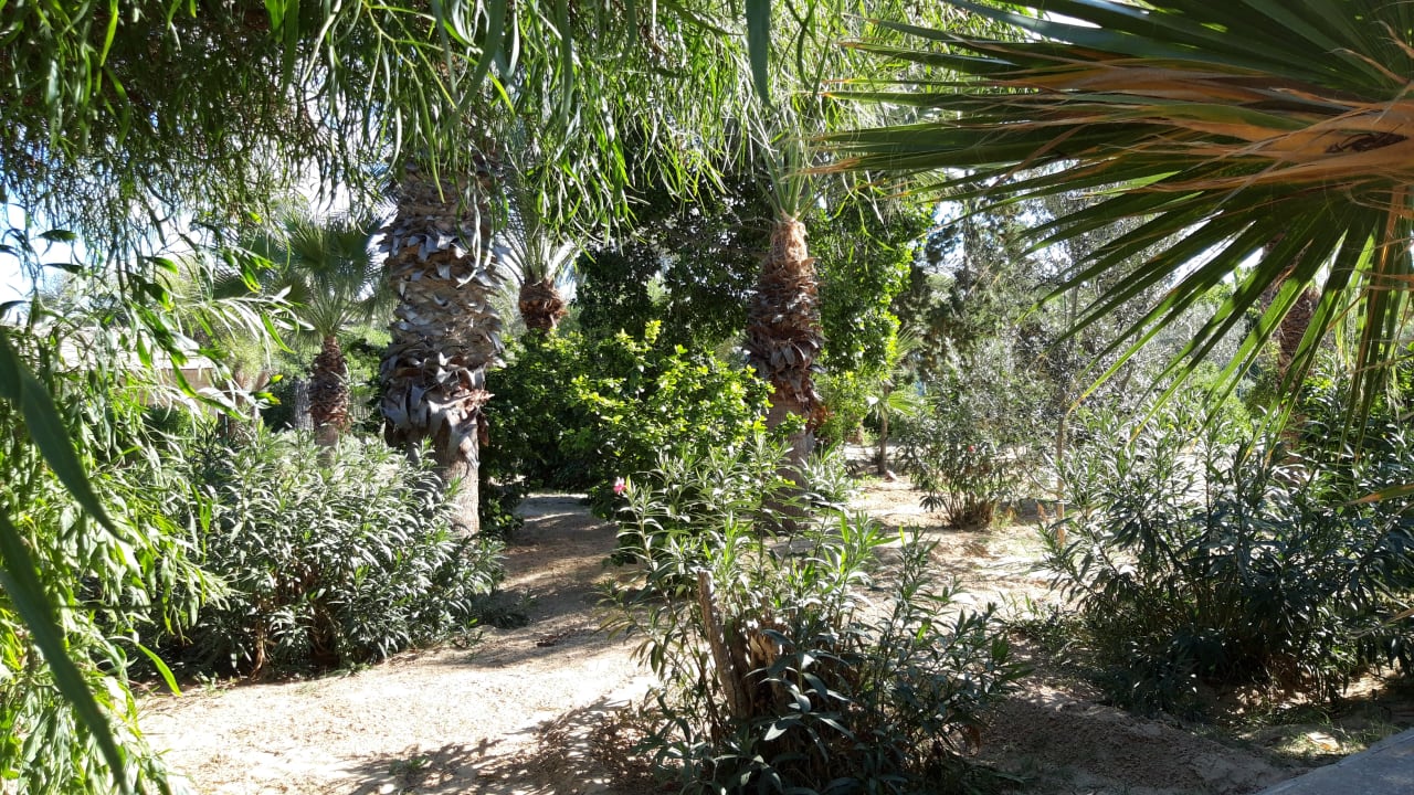 Gartenanlage Hotel Sangho Club Zarzis
