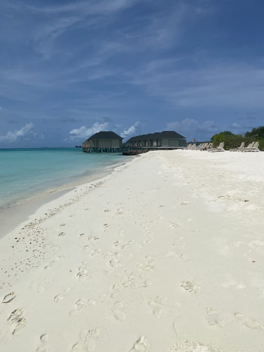 Strand Summer Island Maldives