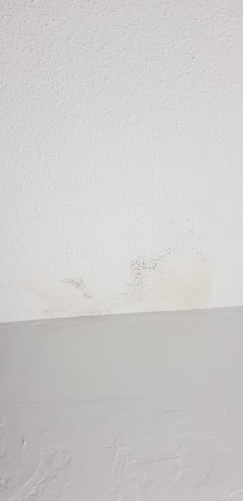 Zimmer Resonance Musique Varadero