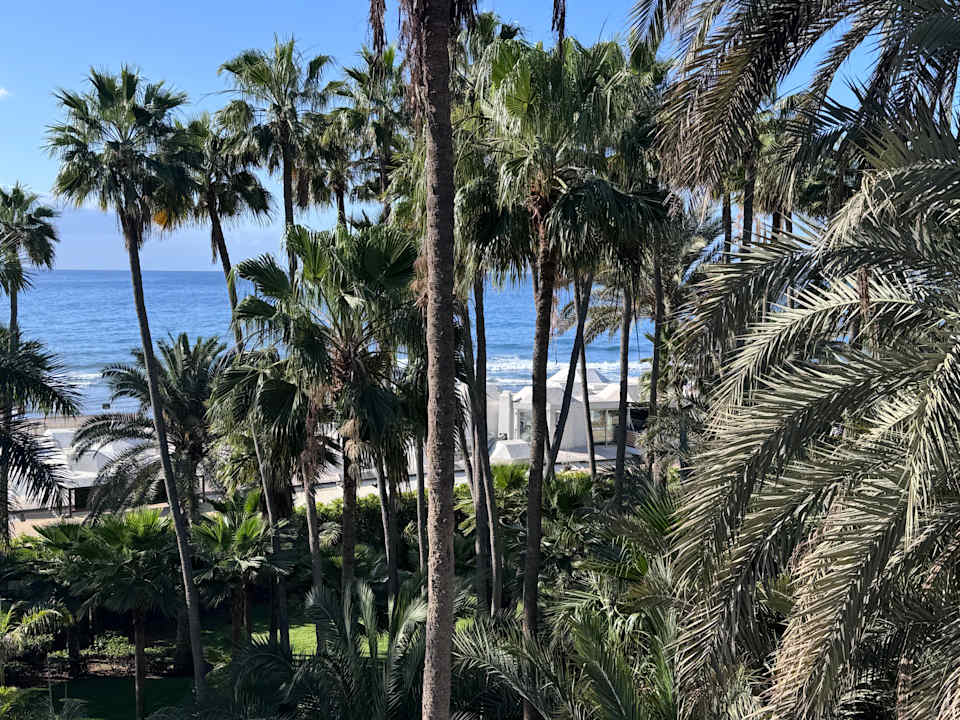 Ausblick Hotel Riu Palace Oasis