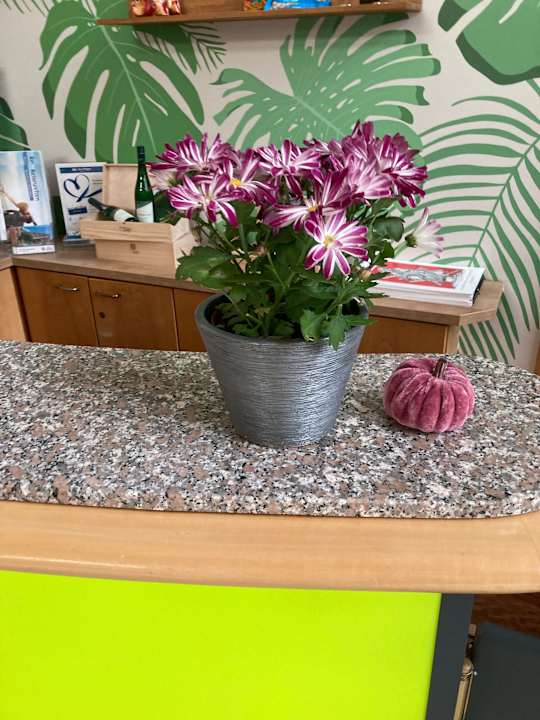 Lobby Best Western Parkhotel Brehna - Halle