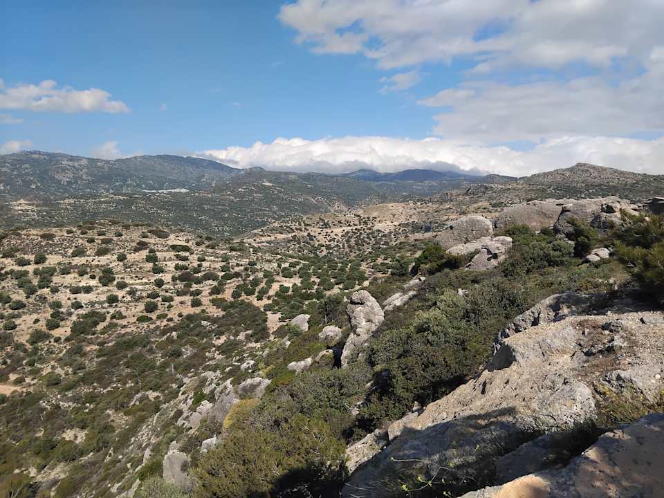Ausblick allsun Hotel Carolina Mare
