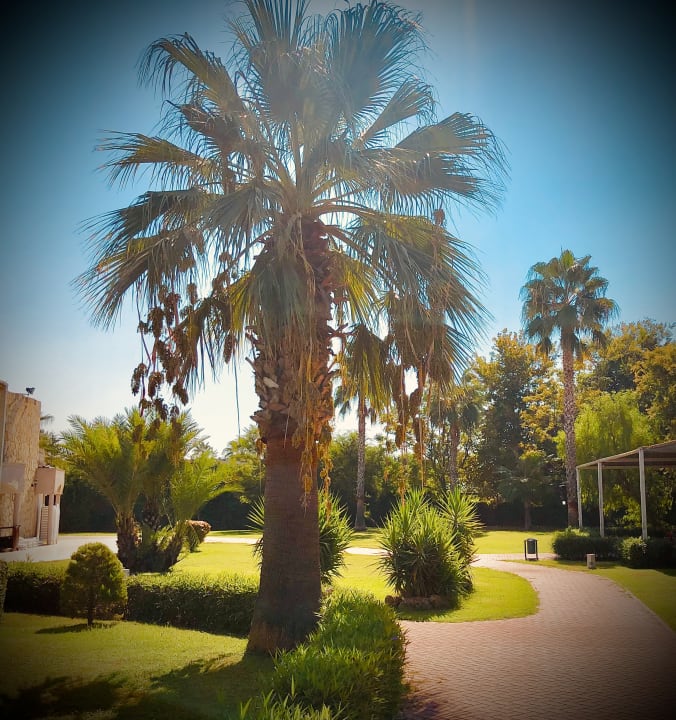 Gartenanlage Sunis Elita Beach Resort & Spa