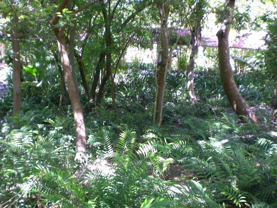 Garten Grand Palladium Select Bávaro Resort & Spa