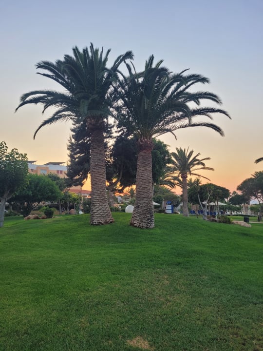 Gartenanlage Anissa Beach & Village