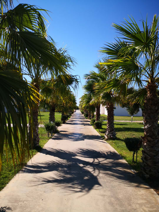 Gartenanlage Atlantica Plimmiri