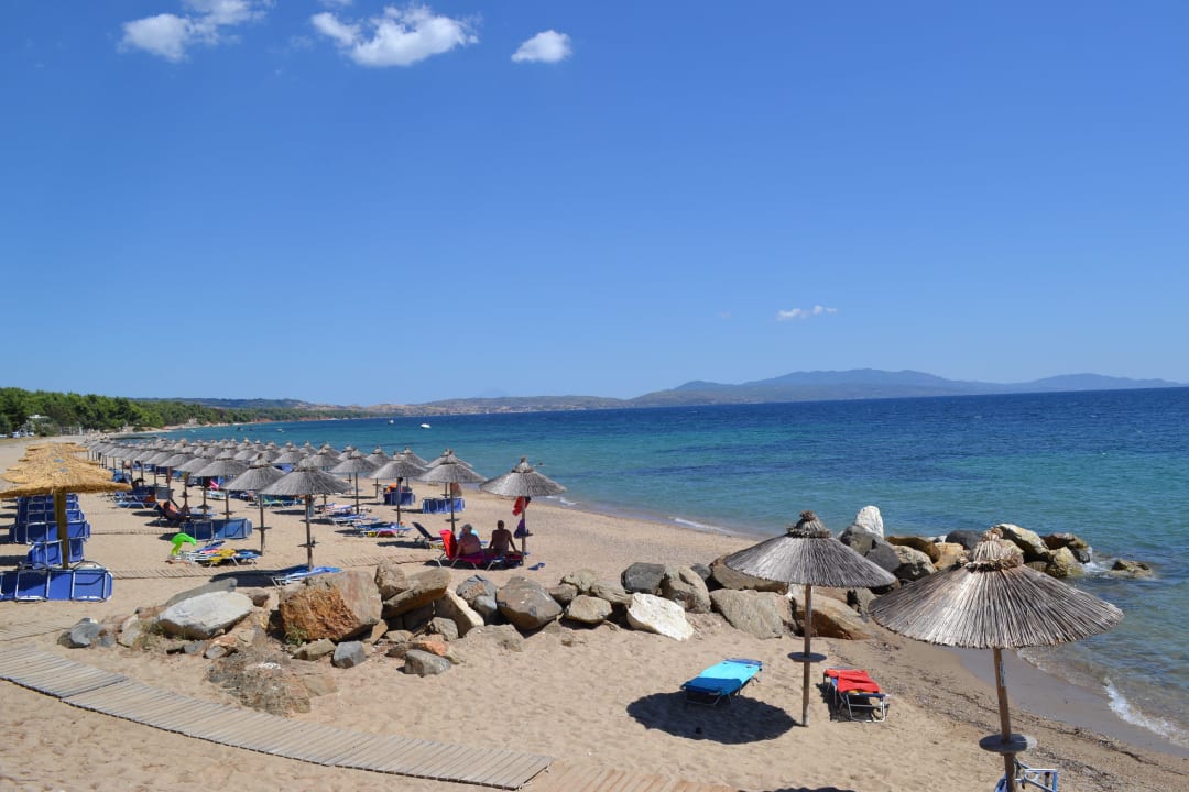 Strandbereich Blue Dolphin Resort Hotel