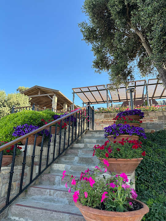 Gartenanlage Arum Barut Collection