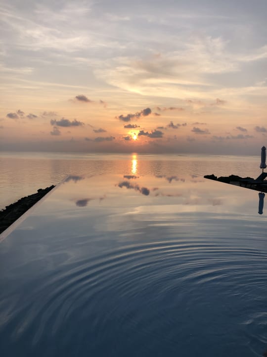 Pool Summer Island Maldives