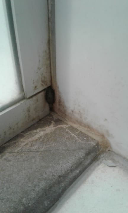 Zimmer Hotel Orfeus Park