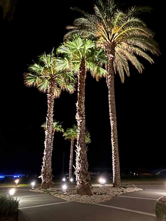 Gartenanlage Rodos Princess Beach Hotel & Spa