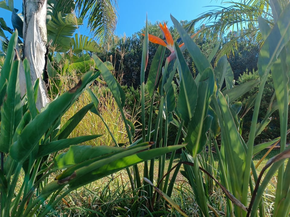 Gartenanlage Megasaray Club Belek